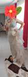 Rochie  dama de seara