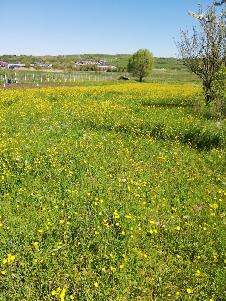 Vând teren intravilan in Huedin