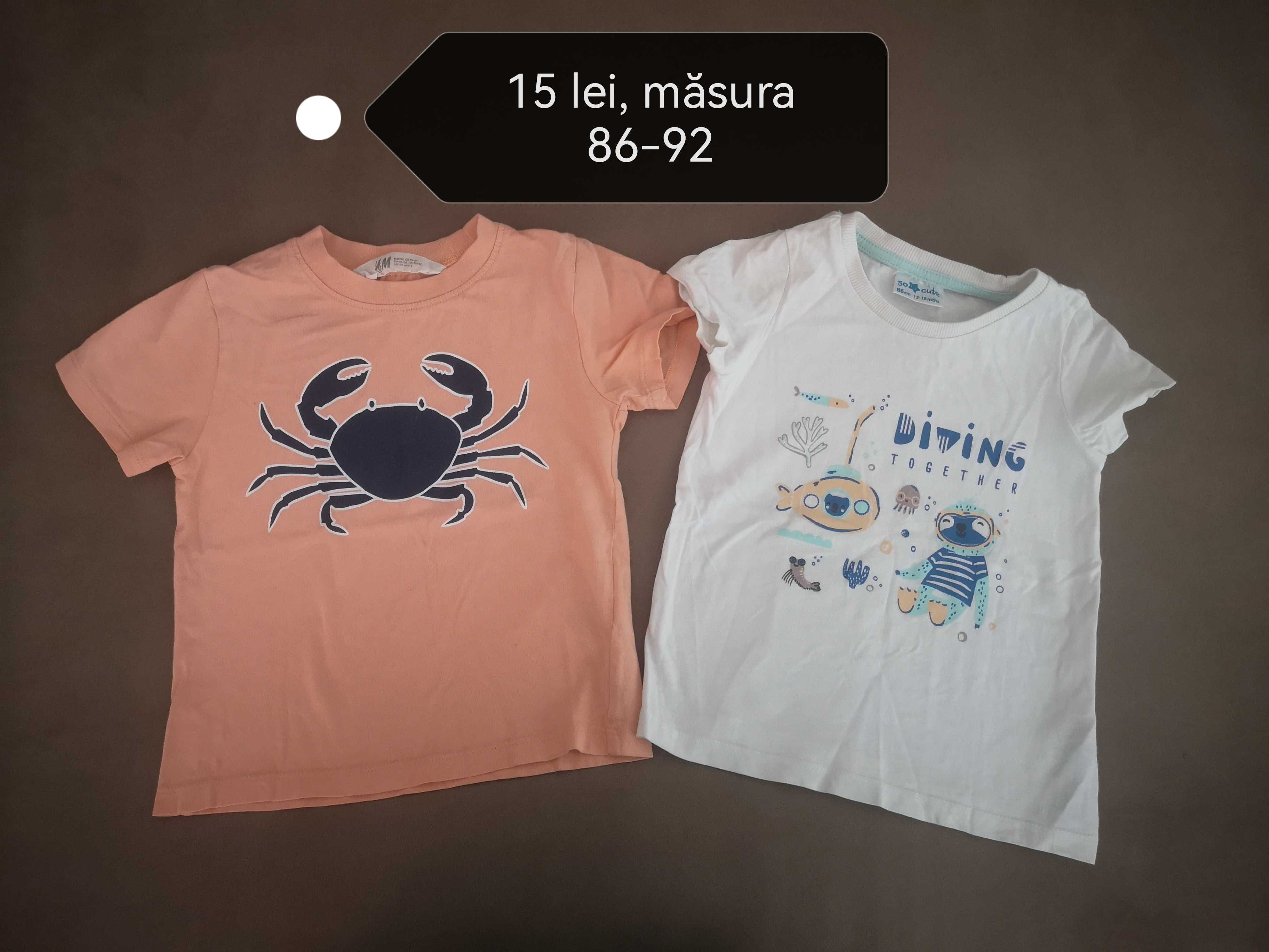 Hainute de vara pentru baieti