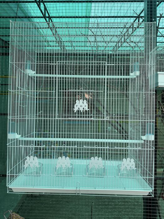 Продаються новые вольеры для мельких и больших птиц