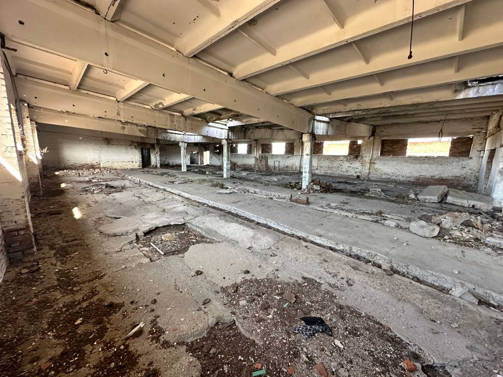 В продаже База новоявленка Алаш 1