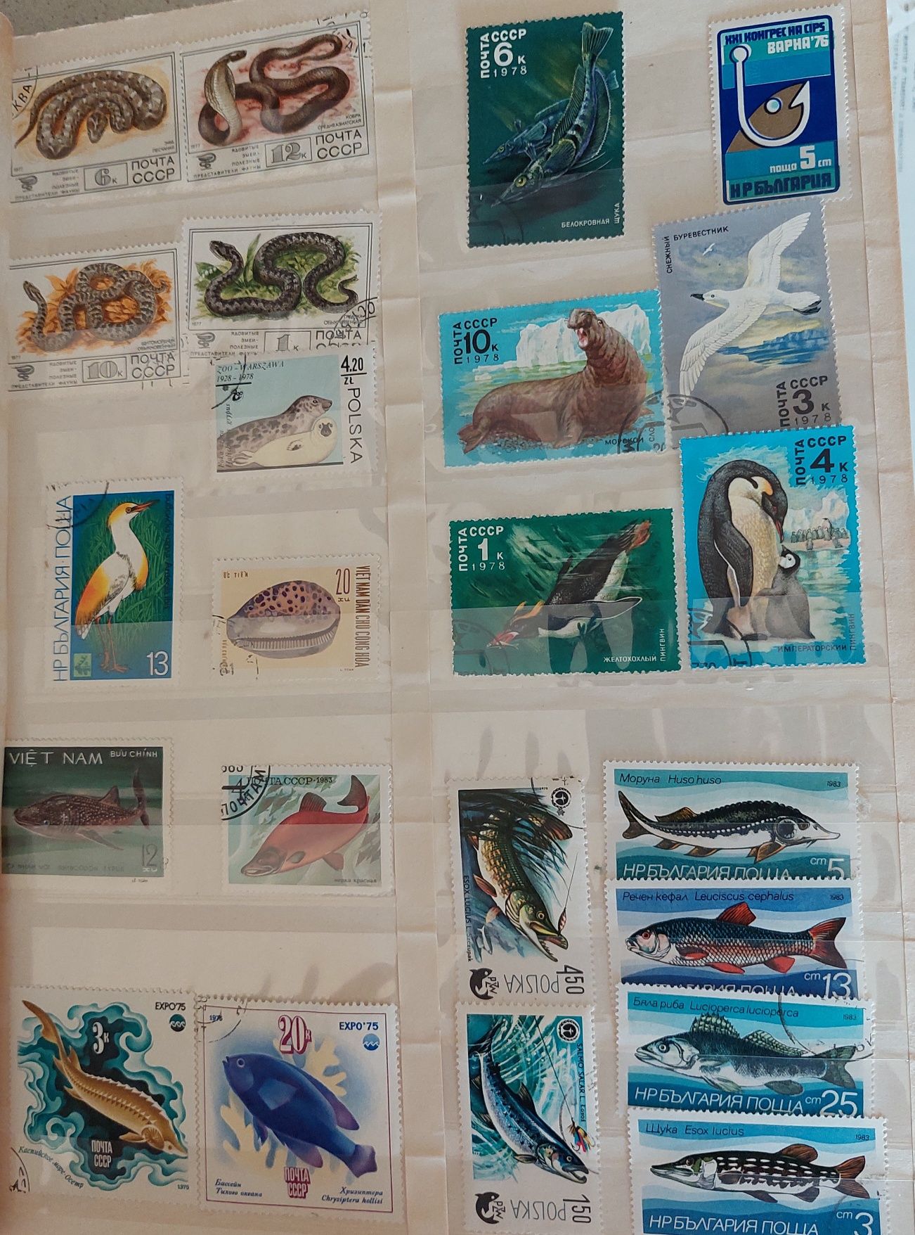 Колекция пощенски марки над 750 броя