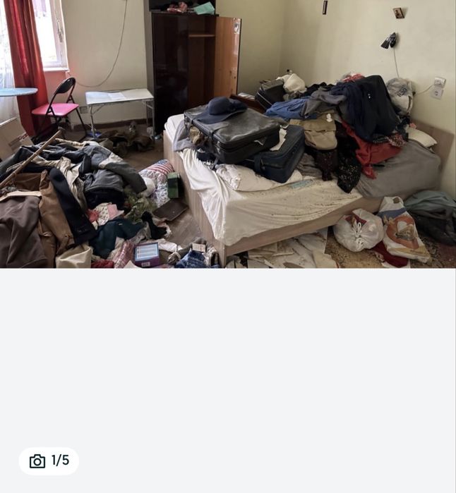 Curatenie moloz debarasari