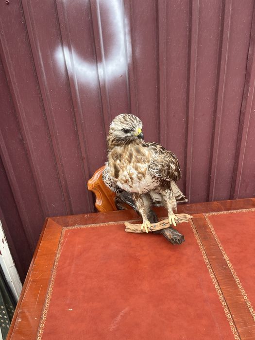 Статуэтка рызаря из польши