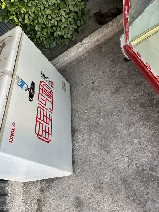 Muzlatgich yaxshi ishlaydi