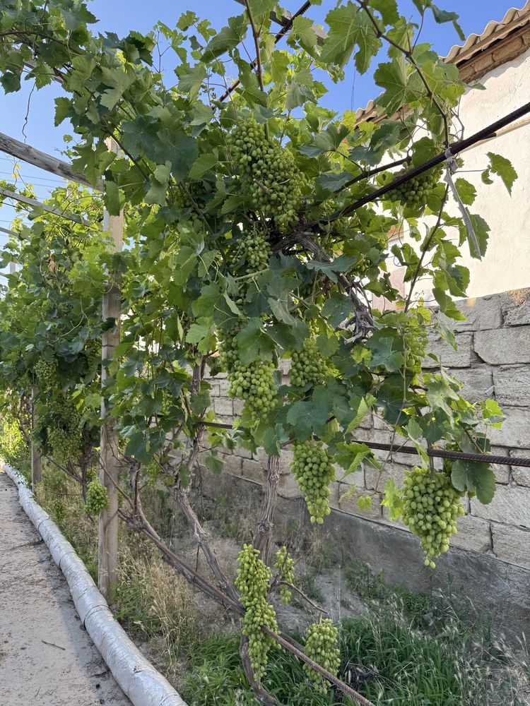 Срочно продам дом