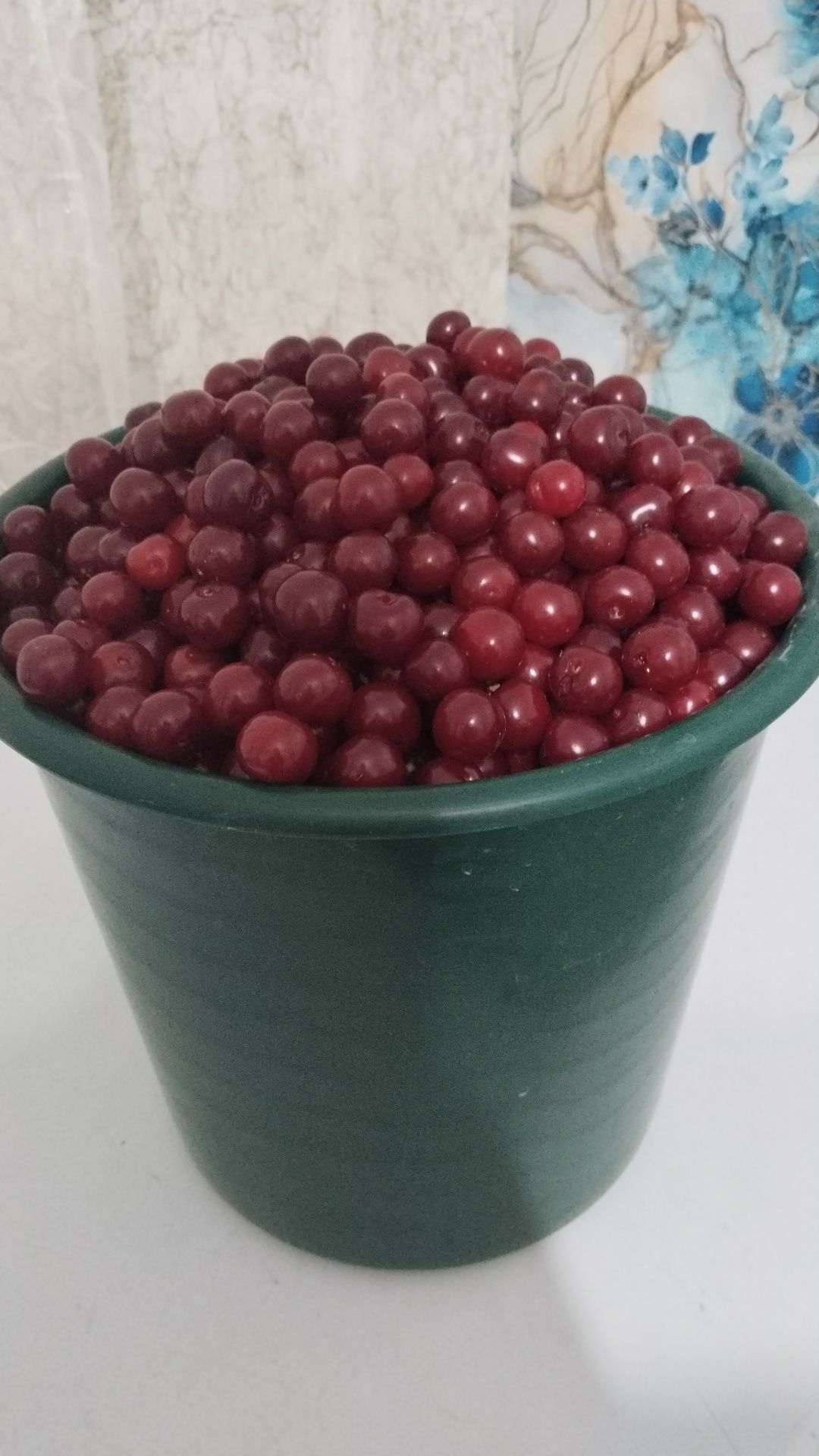 Срочно продам домашнюю вишню