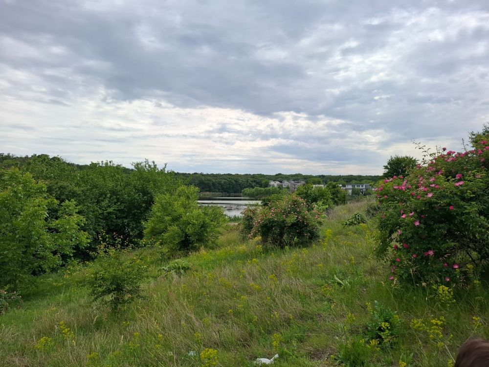 Teren intravilan-branesti ilfov-langa lac si padure