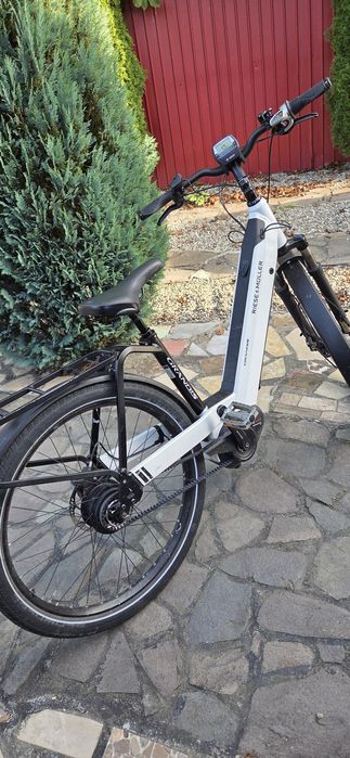 Bicicleta electrica riese muller