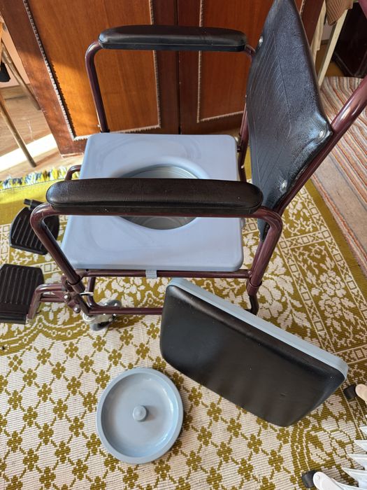 Scaun cu vas WC pe roti