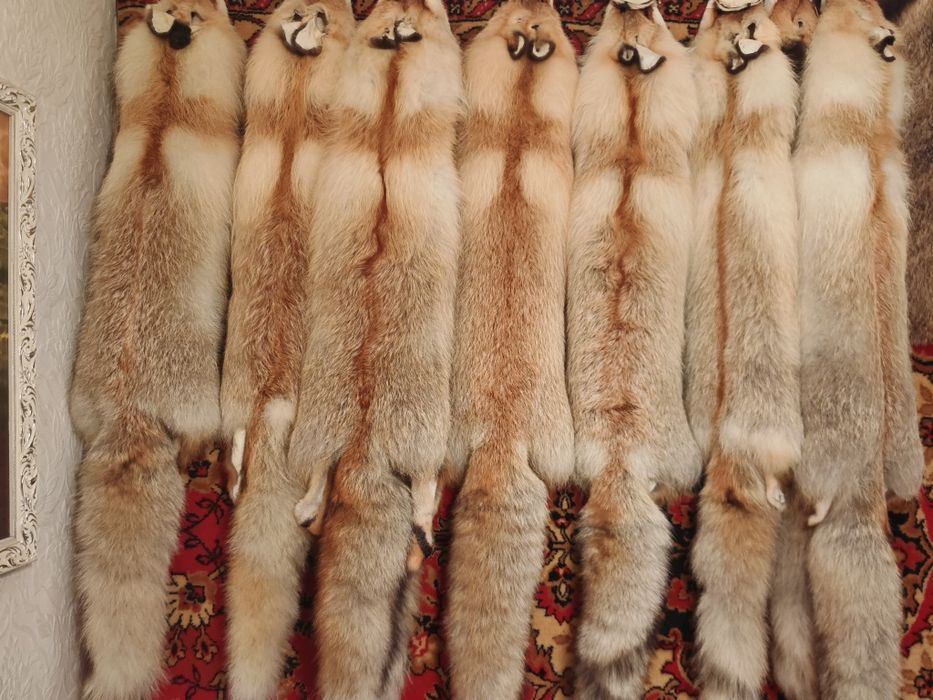 Лиса, мех натуральный.