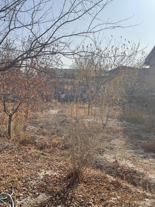 5 xona 12 sotix 3 ta sanuzel