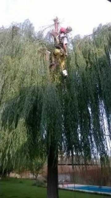 mobila veche , deșeuri din construcții , electrocasnice ,Moloz