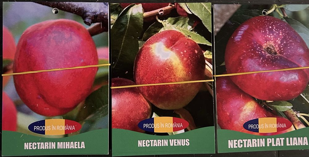 Pomi Fructiferi Certificati Si Ambalati Pentru Revanzare