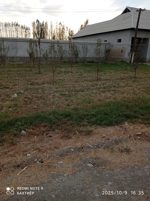 кучкорчида участка сотилади 8 сотих котта  йлди буйида 1 сотихи 2700 $
