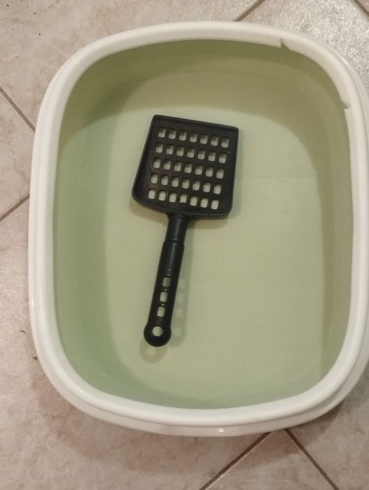 Аксесоари за котка