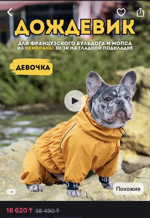 Комбинезон для собаки (девочка)