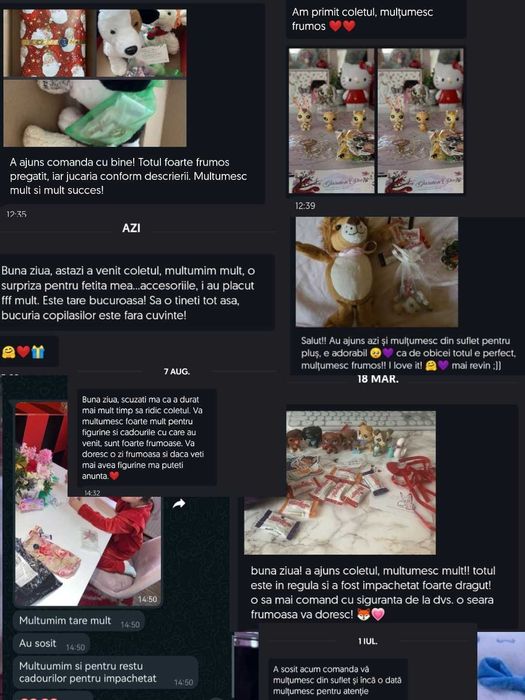 Cercei fluturi din argint S925 Noi