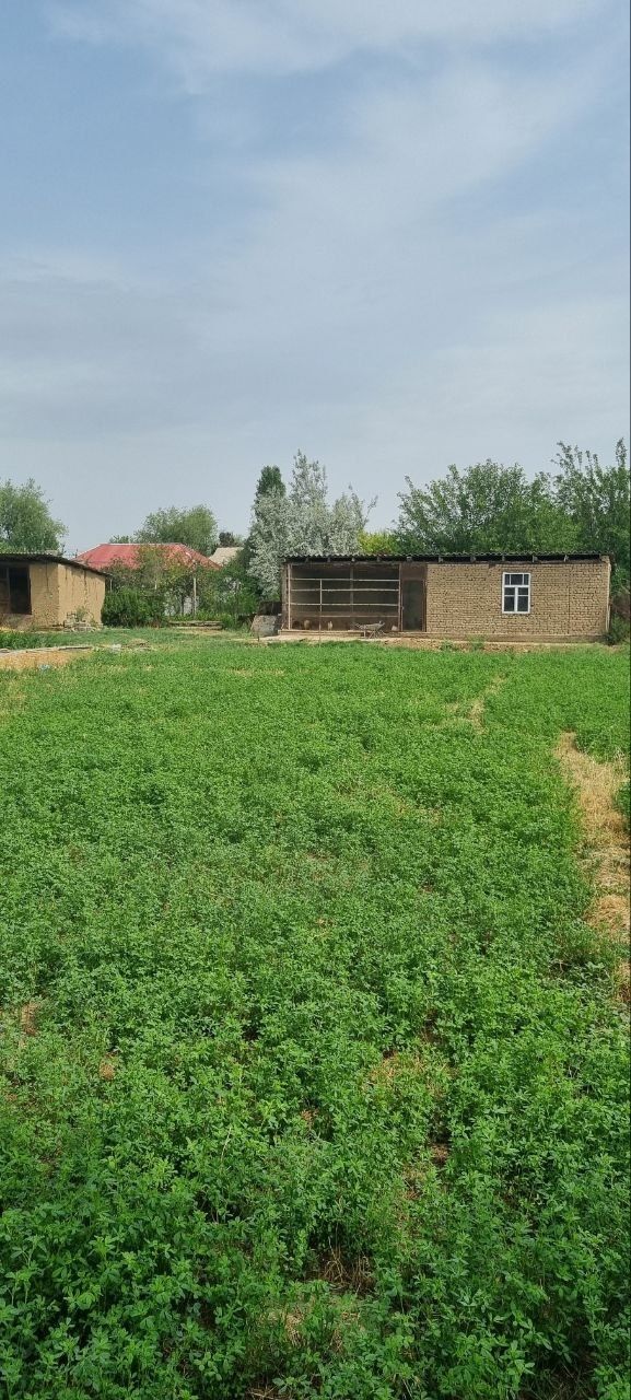 Участка сотилади октябрда