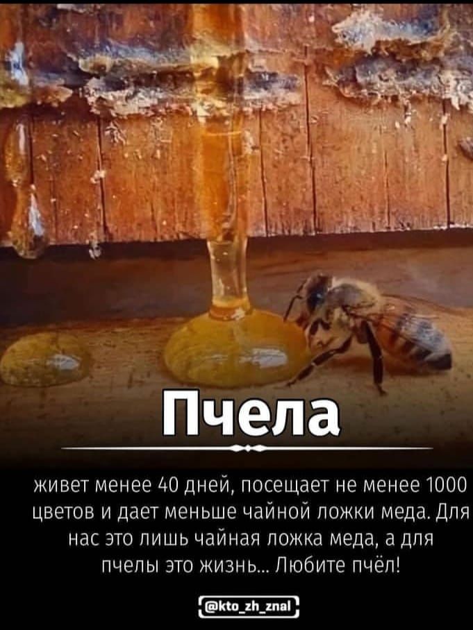 Натуральный мед с личной пасики
