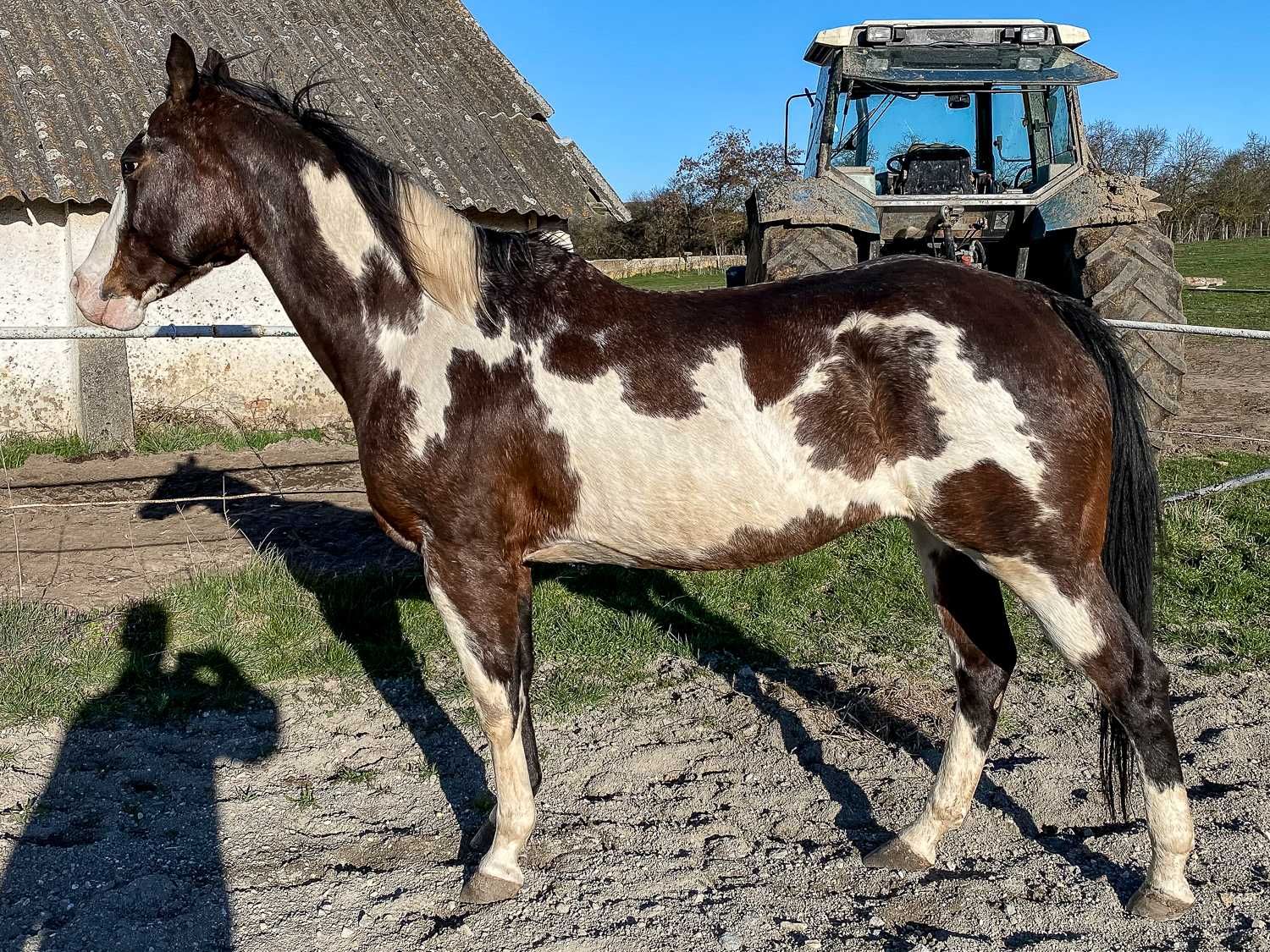 Iapa de sport si echitatie