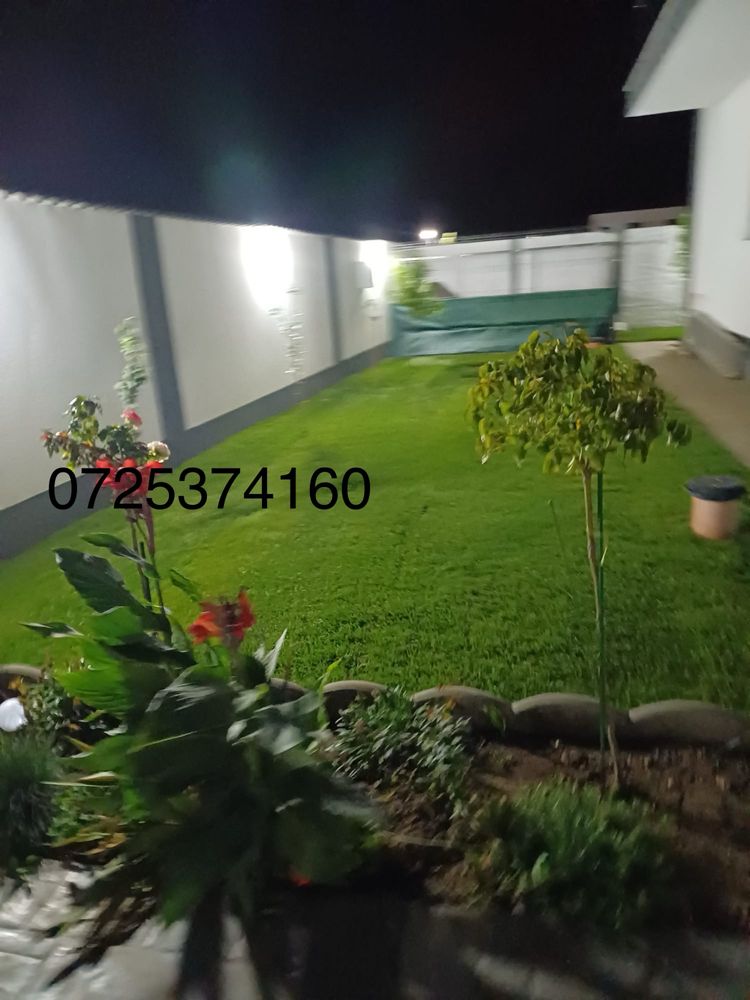 Gazon rulou sabareni 25 lei