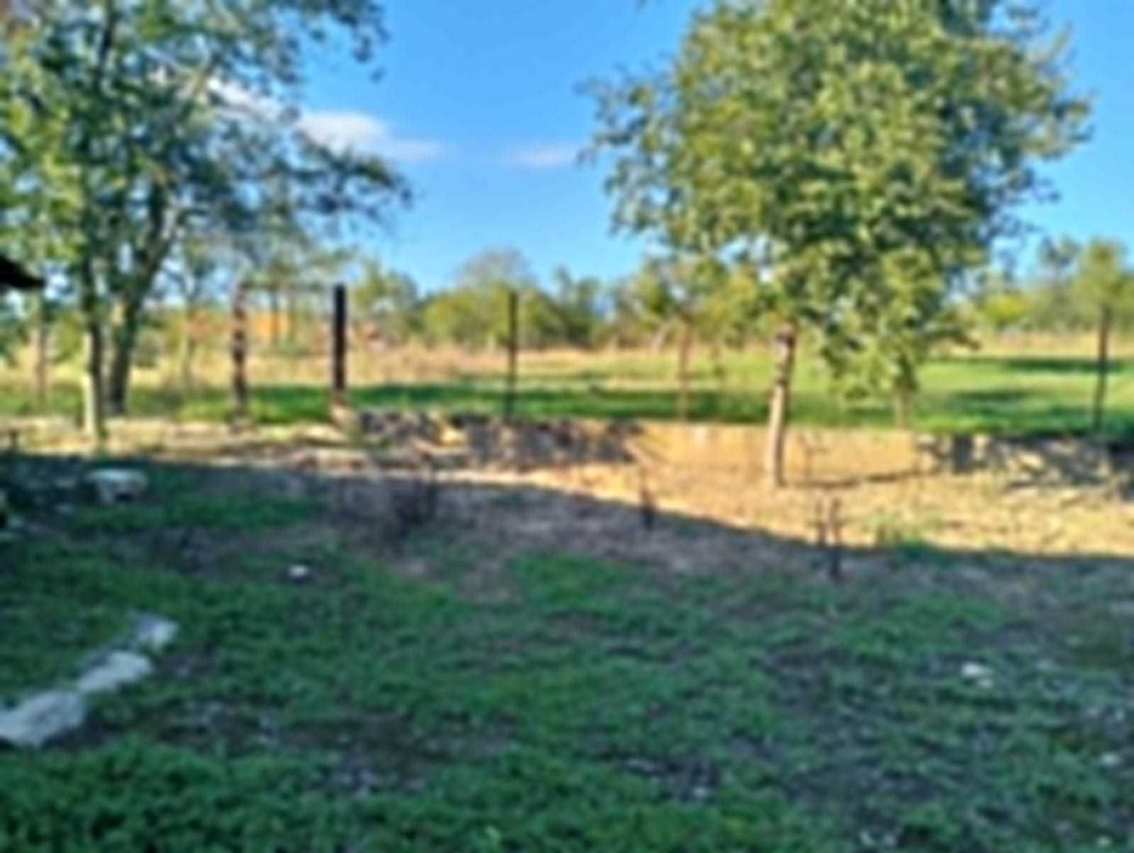casa cu gradina in Crocna