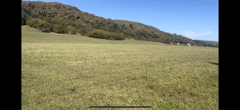 Vand pamant 7500 m2 in apropierea oltului,intre Bradu si Sacadate