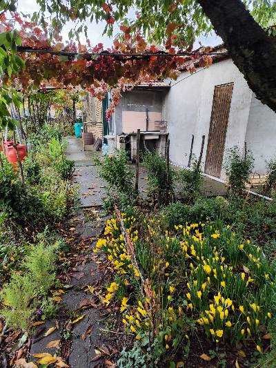 продавам селски имот с къща