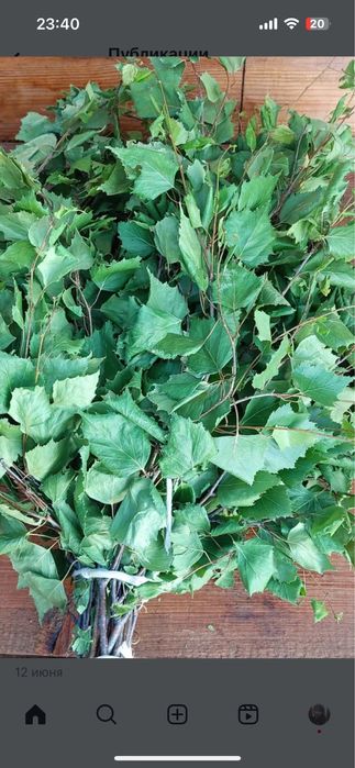 Веники березовые