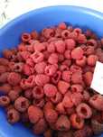 Продам домашнюю малину ремонтантную крупную вкусную