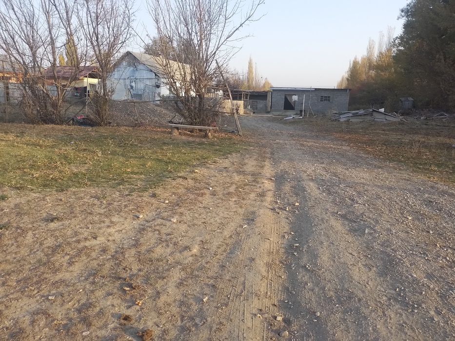 Срочно продам дом 1 гектар 25 сотак