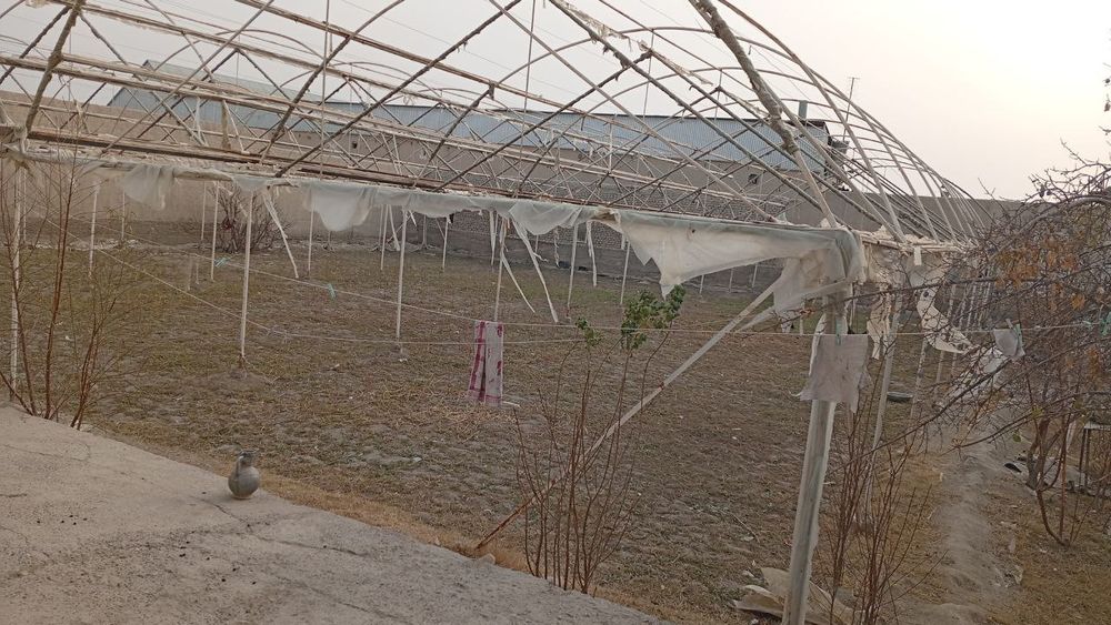 Parnik Teplitsa srochniga sotiladi arzon