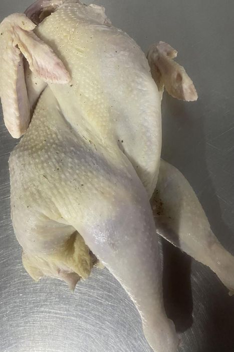 Домашние куры цыплята