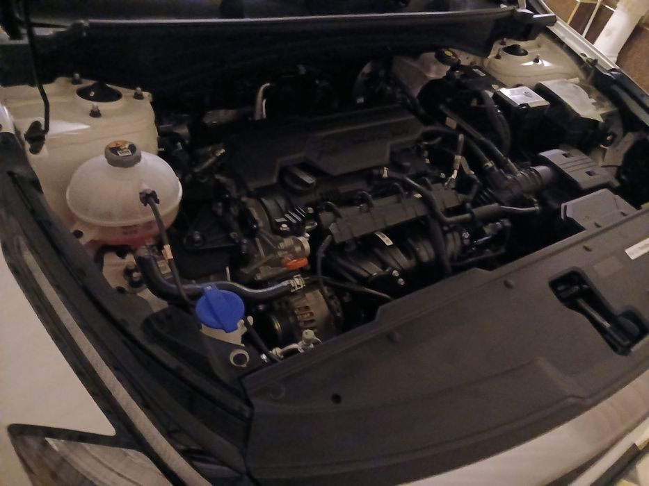 Панорама том, 2024 йилда олинган спортейж