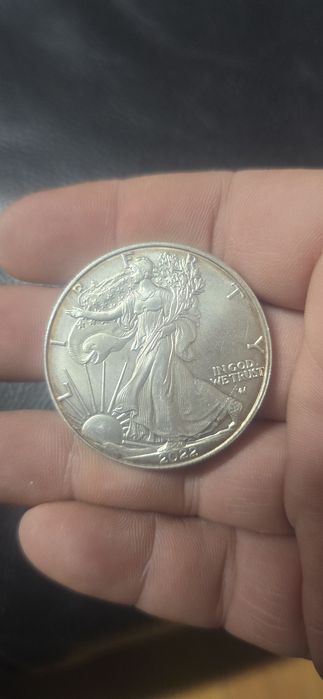 1 dolar 2022 argint pur 1 uncie