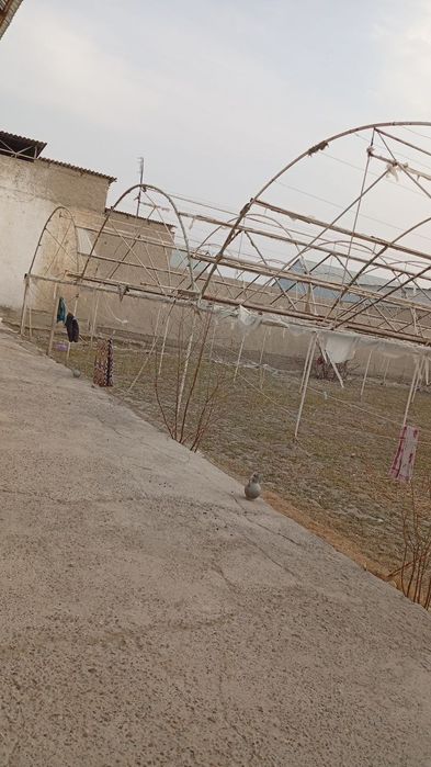 Parnik Teplitsa srochniga sotiladi arzon