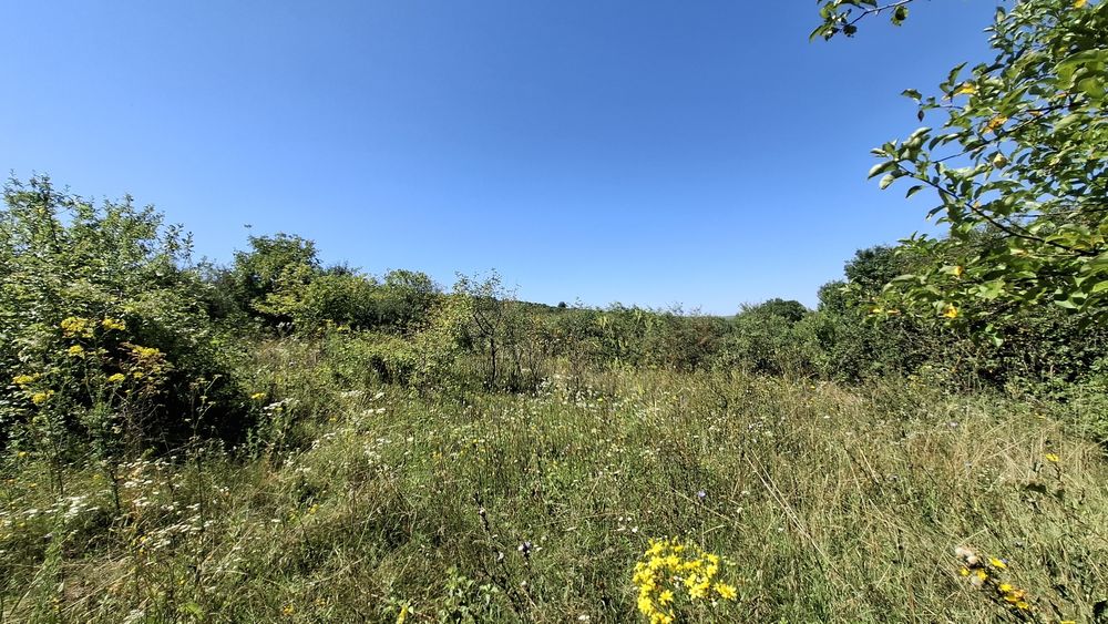 Vând teren cu o mică căsuță în Bărăi