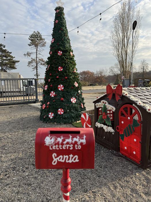 Decoratiuni Craciun - interior si exterior- brad- lumini- ornamente