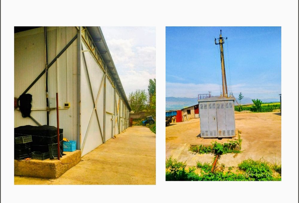 Продажа готового бизнеса по выращиванию фруктов. 

Комплекс находится