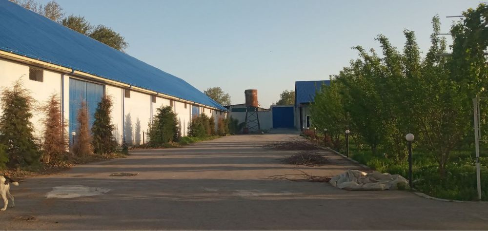 Продаётся комплекс (холодильник, склад, оборудование для сушки фруктов