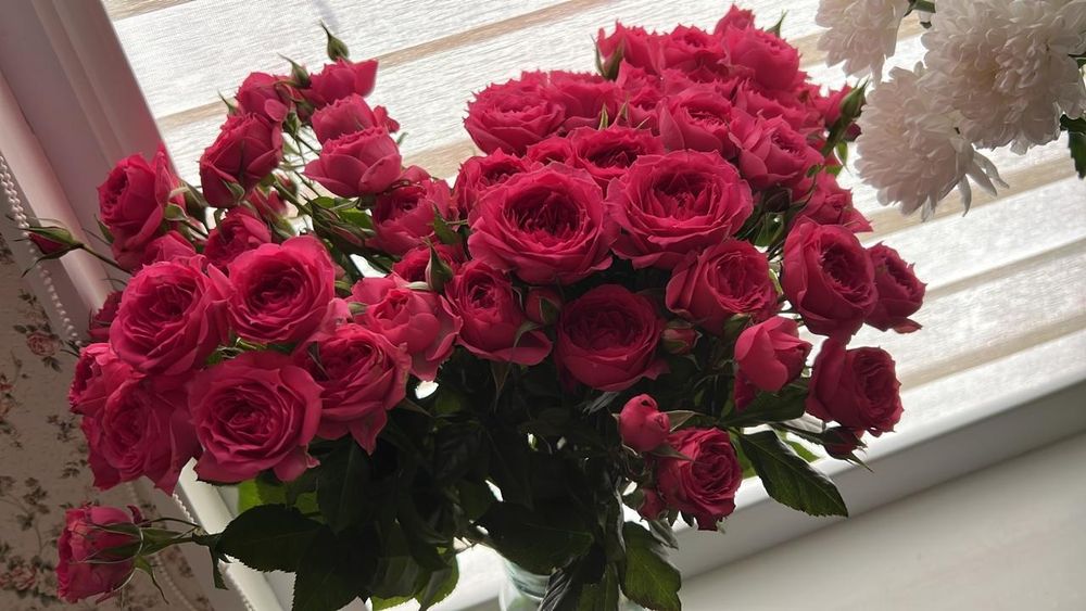 Цветы. Свежие . Не дорого.