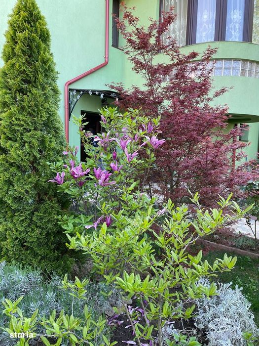 Casa de vis din Arcașilor – locul unde confortul întâlnește liniștea