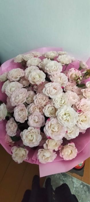 Продаю Кустовые розы