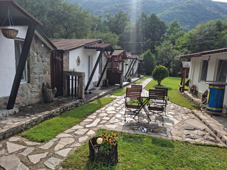 Revelion 2026 Transalpina Terasa Alex