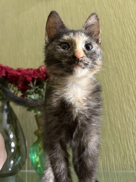 Только ответственным