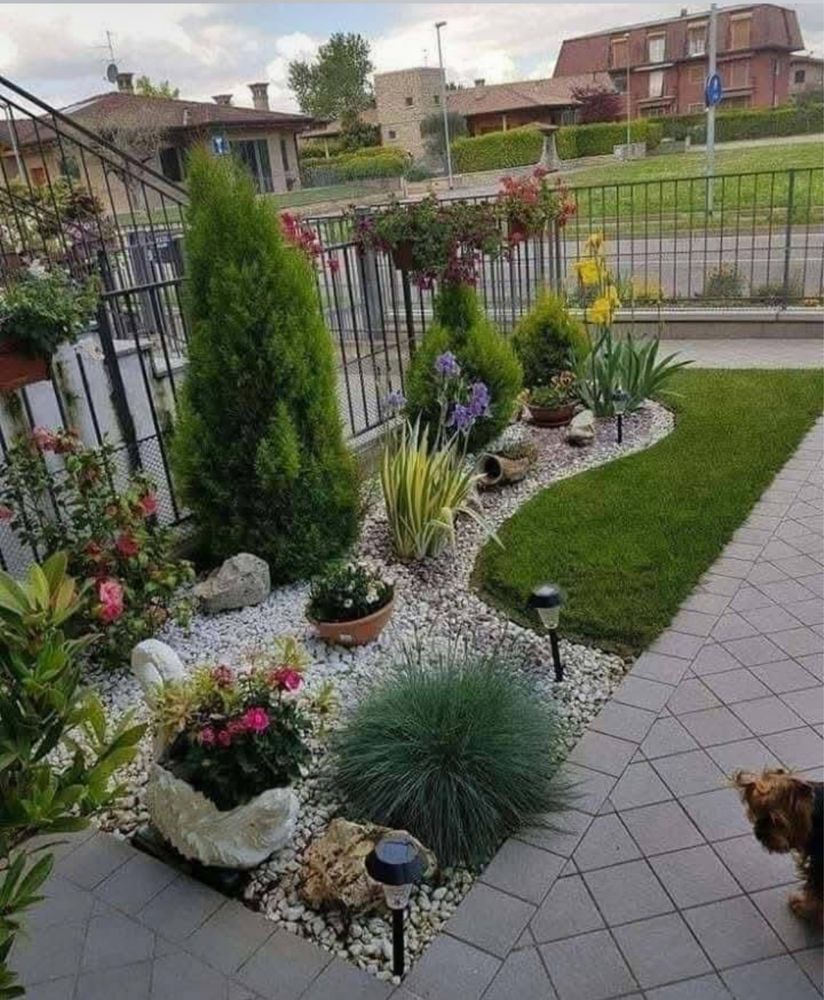 Plante ornamentale