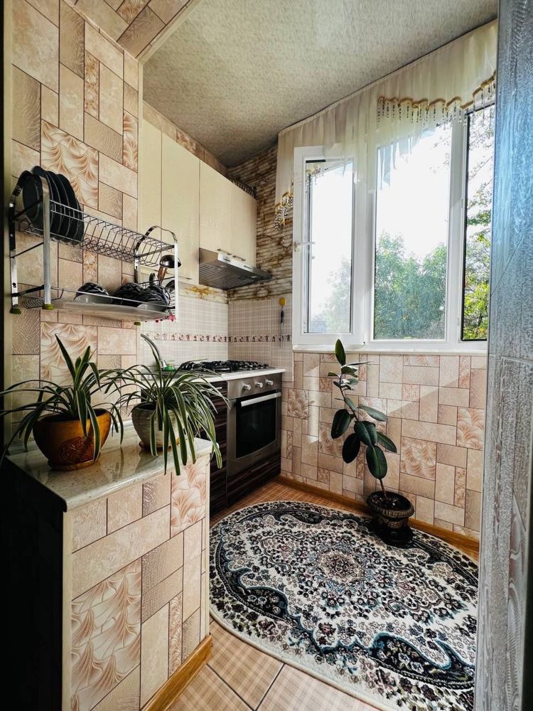 Аренда квартира Парус