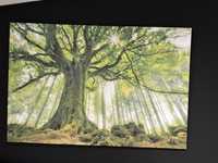Tablou copac, padure, verde, peisaj, canvas Green Giant 100x150 cm
