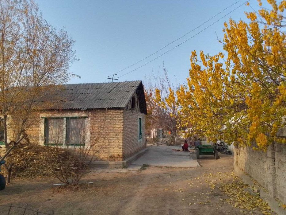 Арзон  ер Янгийул,  13,5 сотих. кадастри бор нархи 19500